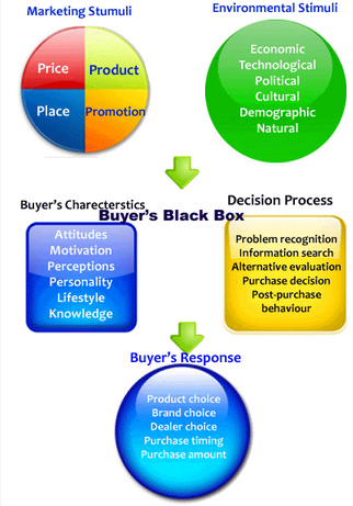 consumer buying behaviour case study solution